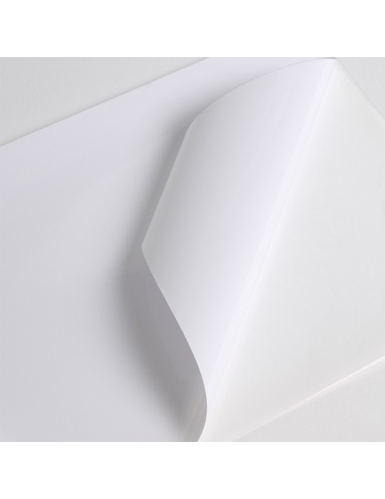 VCSR200WG1 - Blanc Brillant adh permanent super renforcé gris